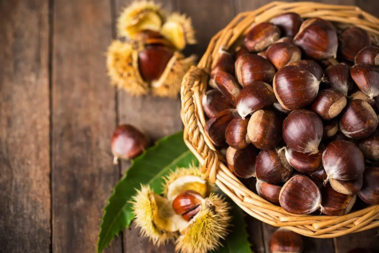 Quattro sagre da non perdere in autunno in Italia SP - Stand gastronomici con caldarroste e vino