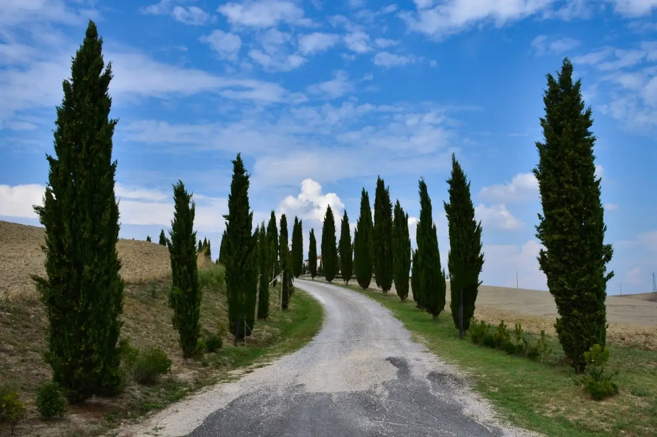 Feste tradizionali di primavera: calendario degli appuntamenti a Capranica nel 2025 Feste tradizionali di primavera: calendario degli appuntamenti a Capranica nel 2025