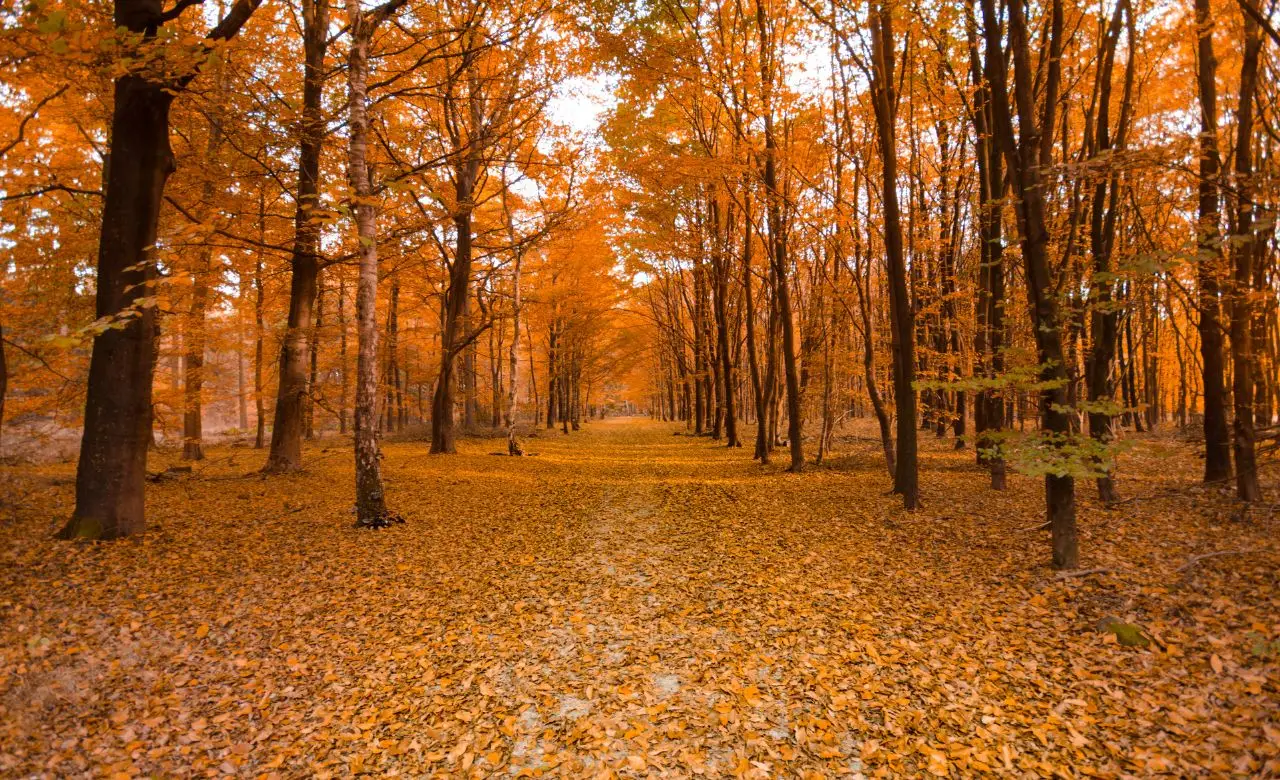 Tre città italiane dove andare in autunno per colori e atmosfera Tre città italiane dove andare in autunno per colori e atmosfera
