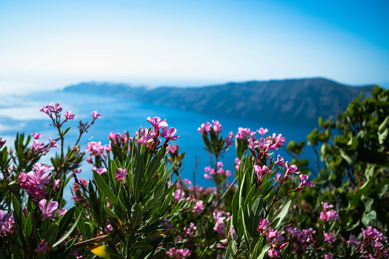 Tre esperienze da vivere nel Cilento tra natura e cultura Tre esperienze da vivere nel Cilento tra natura e cultura
